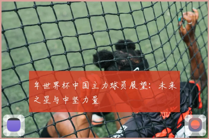 年世界杯中国主力球员展望：未来之星与中坚力量